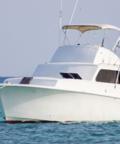 renta yate los cabos