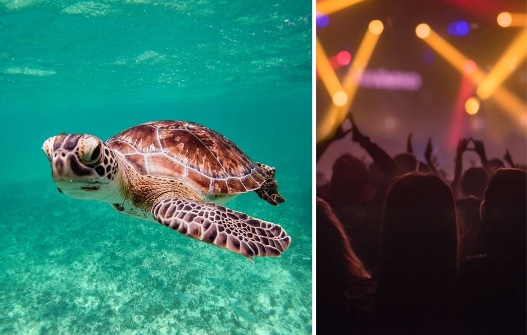 Actividades en Tulum img