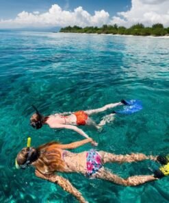 snorkeling puerto vallarta img