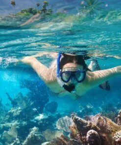snorkel puerto vallarta img